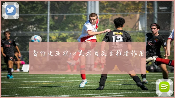 哥伦比亚核心莱尔马反击推进作用