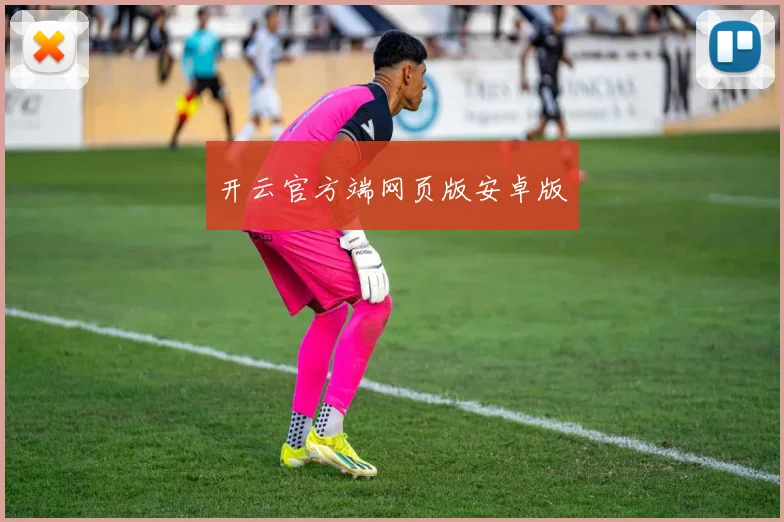 开云官方端网页版安卓版