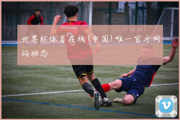 世界杯体育在线(中国)唯一官方网站动态