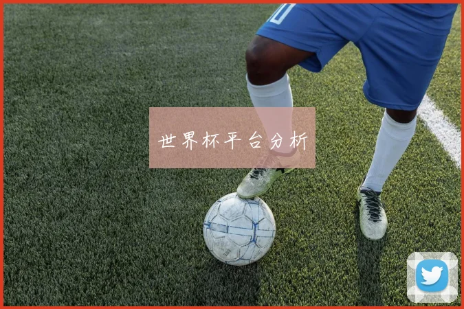 世界杯平台分析