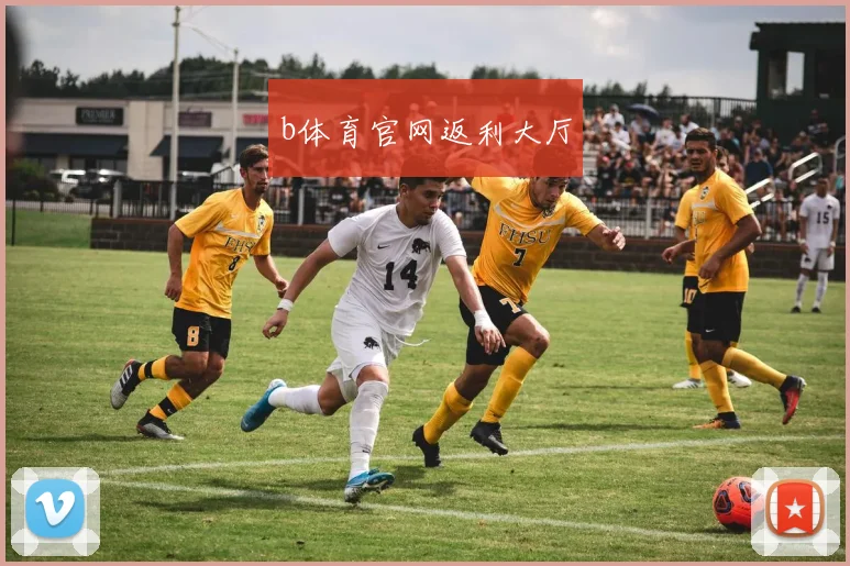 b体育官网返利大厅