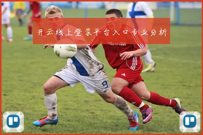 开云线上登录平台入口专业分析