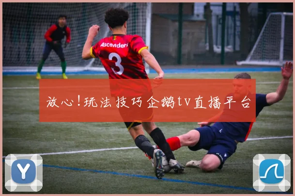 放心!玩法技巧企鹅tv直播平台