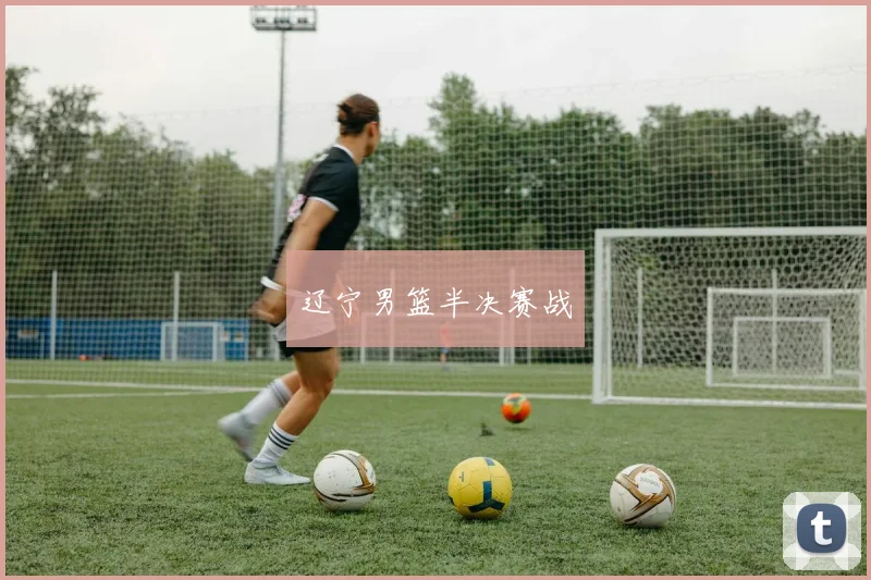 辽宁男篮半决赛战
