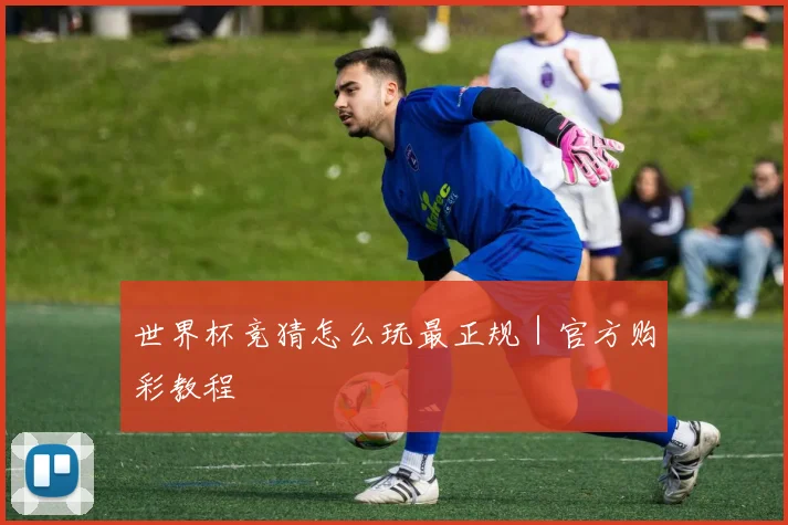 世界杯竞猜怎么玩最正规｜官方购彩教程