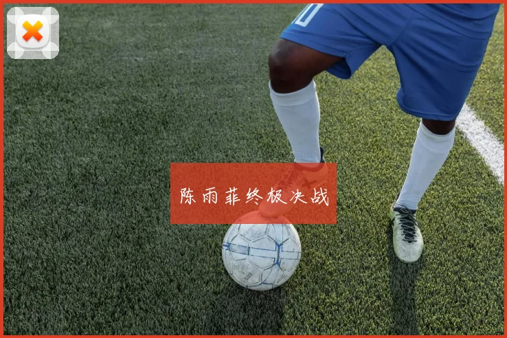 陈雨菲终极决战