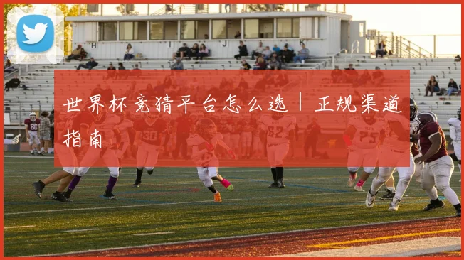 世界杯竞猜平台怎么选｜正规渠道指南