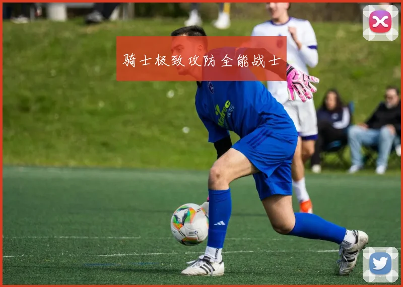 骑士极致攻防全能战士