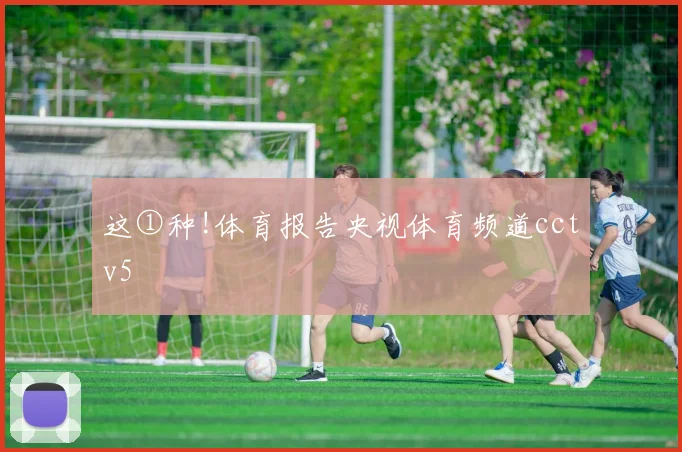 这①种!体育报告央视体育频道cctv5