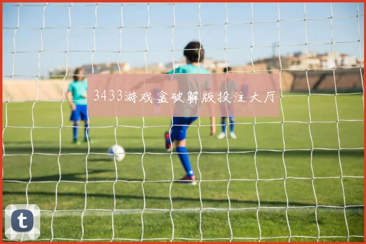 3433游戏盒破解版投注大厅
