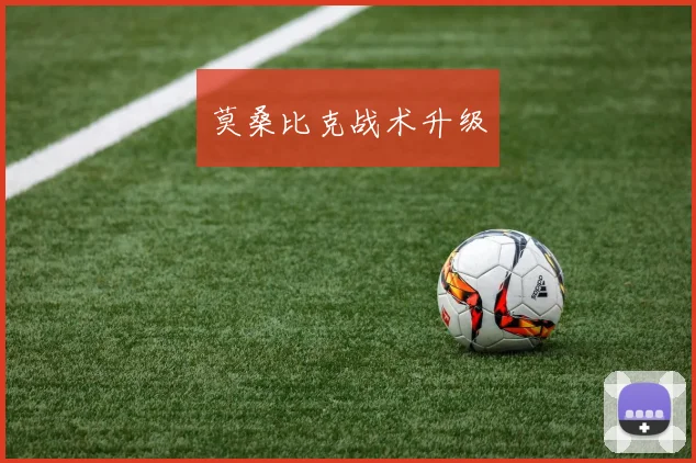 莫桑比克战术升级