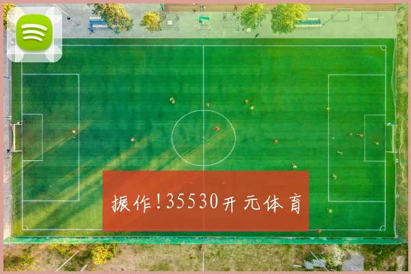 振作!35530开元体育