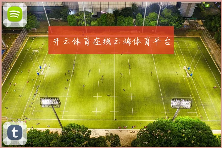 开云体育在线云端体育平台