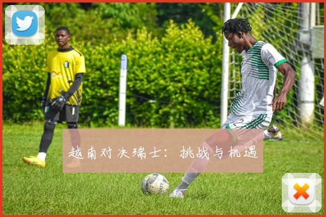 越南对决瑞士：挑战与机遇