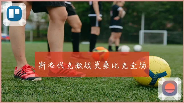 斯洛伐克激战莫桑比克全场