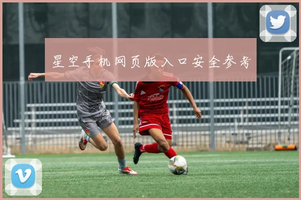 星空手机网页版入口安全参考