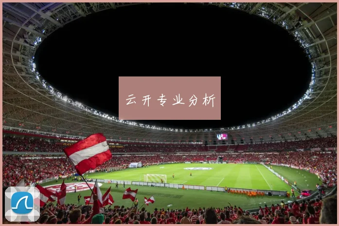 云开专业分析