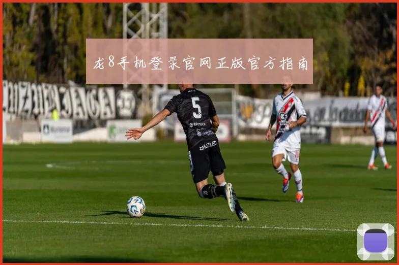 龙8手机登录官网正版官方指南