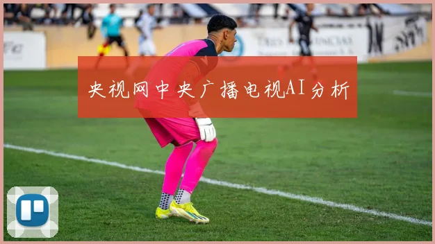 央视网中央广播电视AI分析