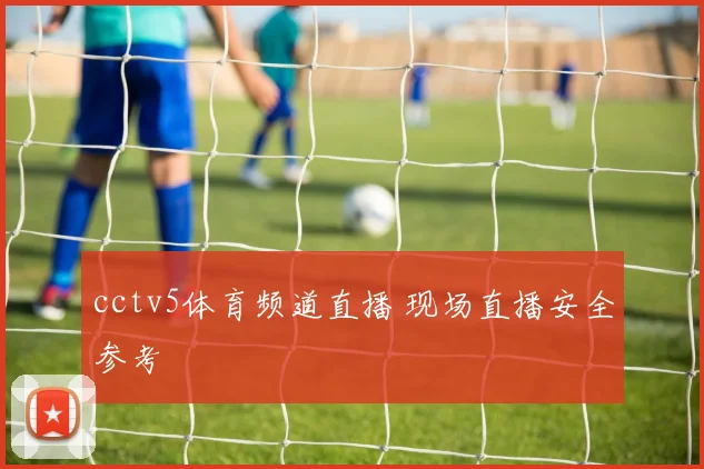 cctv5体育频道直播 现场直播安全参考