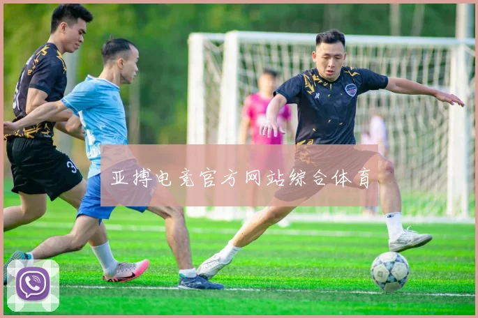 亚搏电竞官方网站综合体育