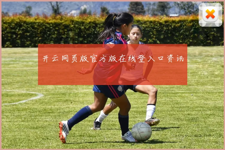 开云网页版官方版在线登入口资讯