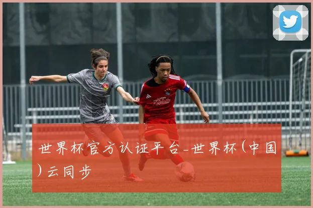 世界杯官方认证平台_世界杯(中国)云同步