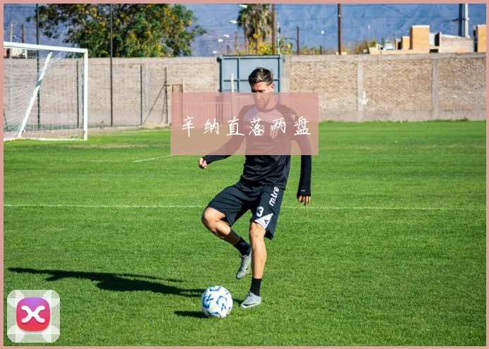 辛纳直落两盘