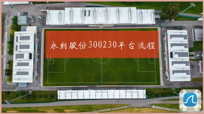 永利股份300230平台流程
