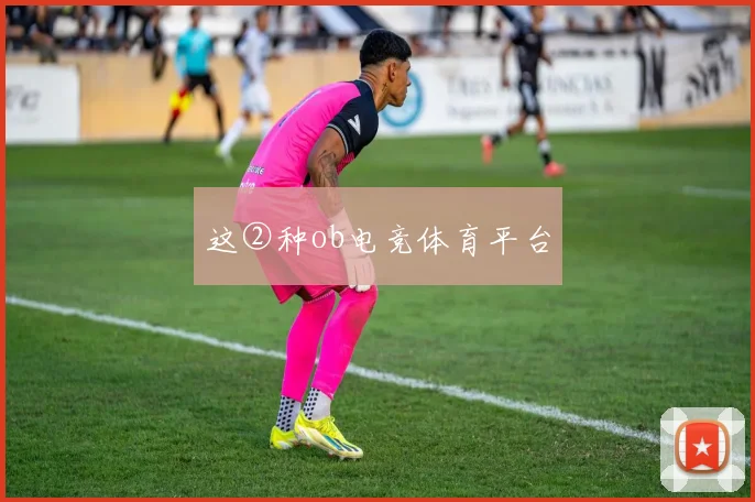这②种ob电竞体育平台