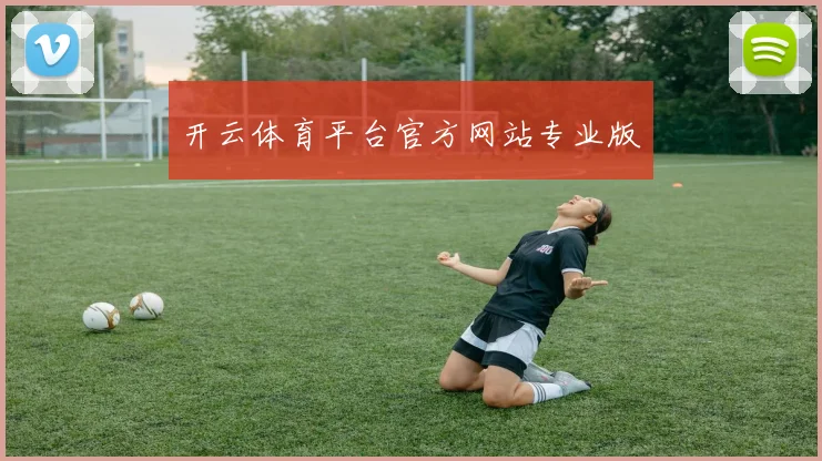 开云体育平台官方网站专业版