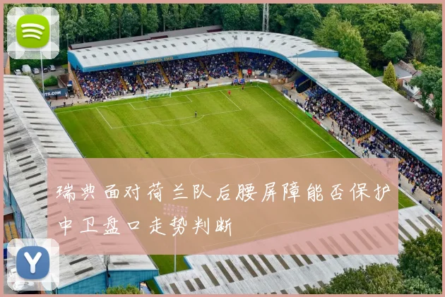 瑞典面对荷兰队后腰屏障能否保护中卫盘口走势判断