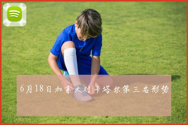 6月18日加拿大对卡塔尔第三名形势